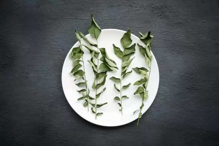 Curry Leaves: Here Is How You Can Add Aromatic Leaves To Your Herbal Tea 